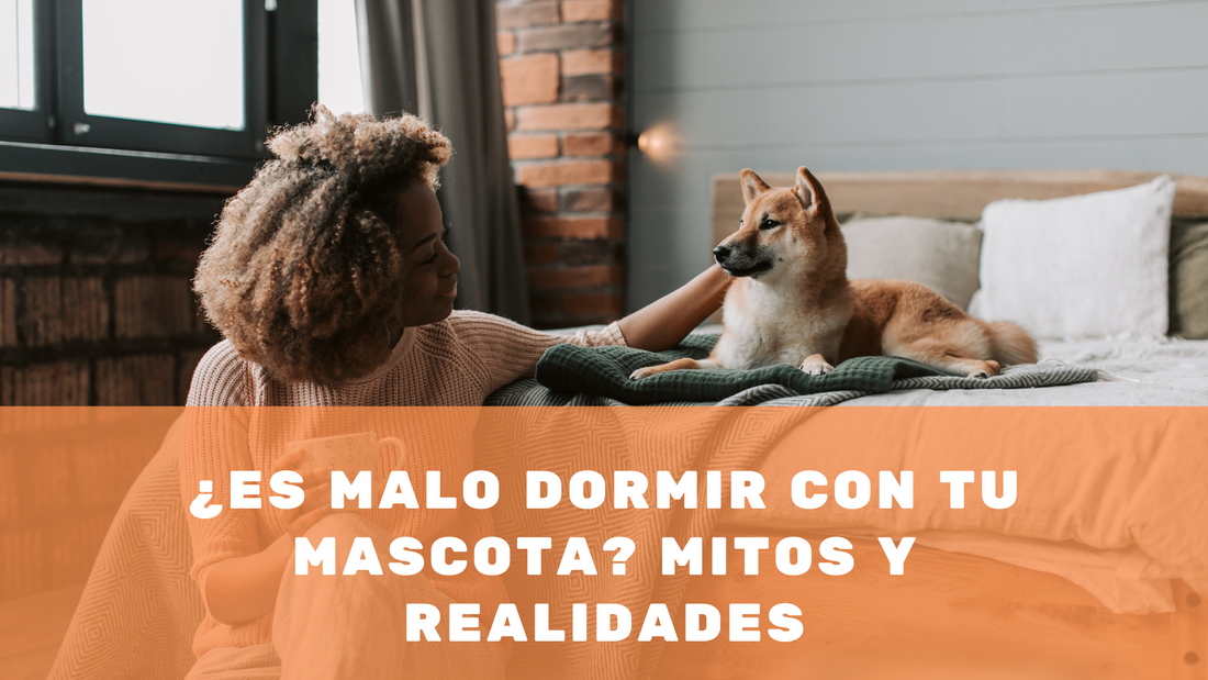 ¿Es malo dormir con tu mascota? Mitos y realidades