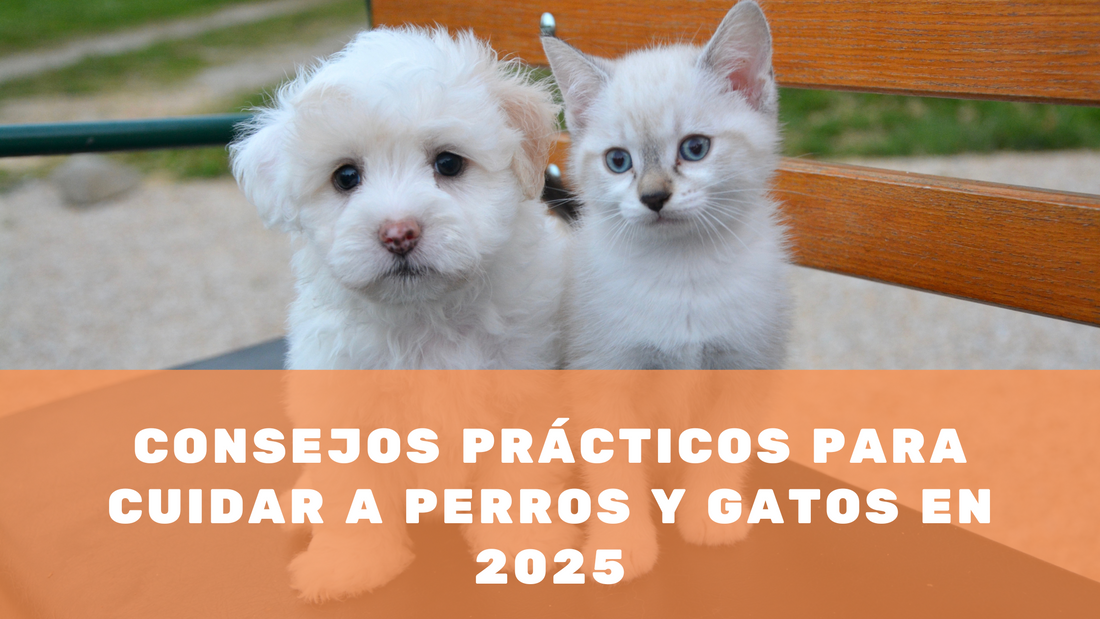 Consejos Prácticos para Cuidar a Perros y Gatos en 2025