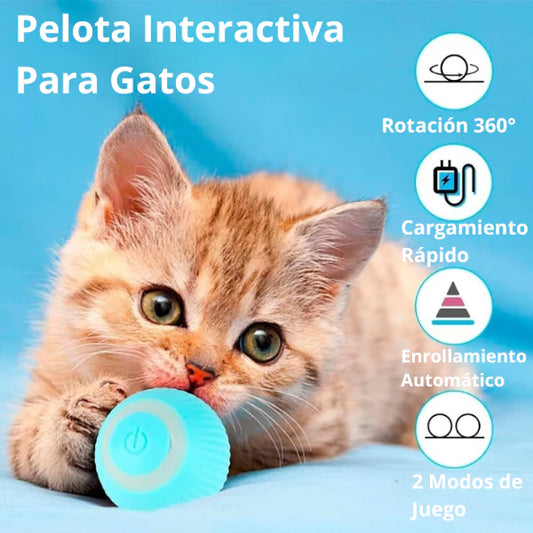 PELOTA INTERACTIVA PARA MASCOTAS USB gato y perro